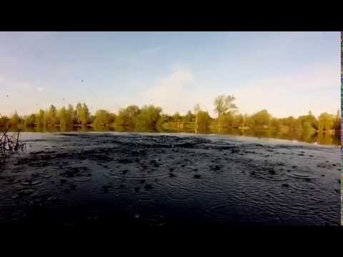 JENZI 2013 - So springt die Forelle......... (fishing & Angelsport)