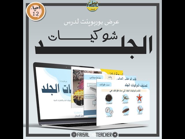 عرض درس شوكيات الجلد