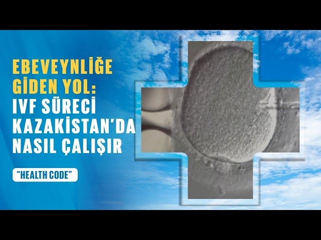 Ebeveynliğe giden yol: Kazakistan'da Tüp Bebek (IVF) süreci nasıl işliyor?