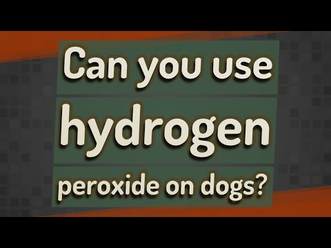 Can you use hydrogen peroxide on dogs?