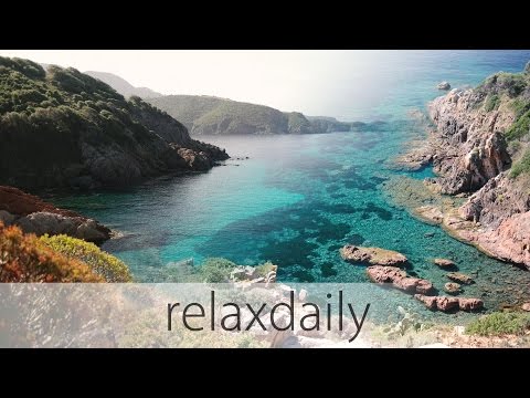 Light Instrumental Music - morning, positive, uplifting - N°104