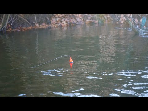 Spring Steelhead BOBBER DOWNS! - Skinny Water Float Fishing 2023