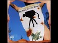 The Hidden Cameras -  Smells Like Happiness