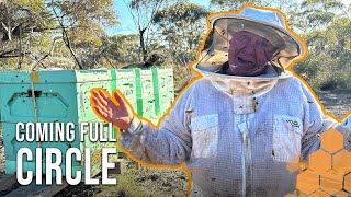 Back Where It All Begins: Moving the Bees to Protect from Varroa Mites | The Bush Bee Man