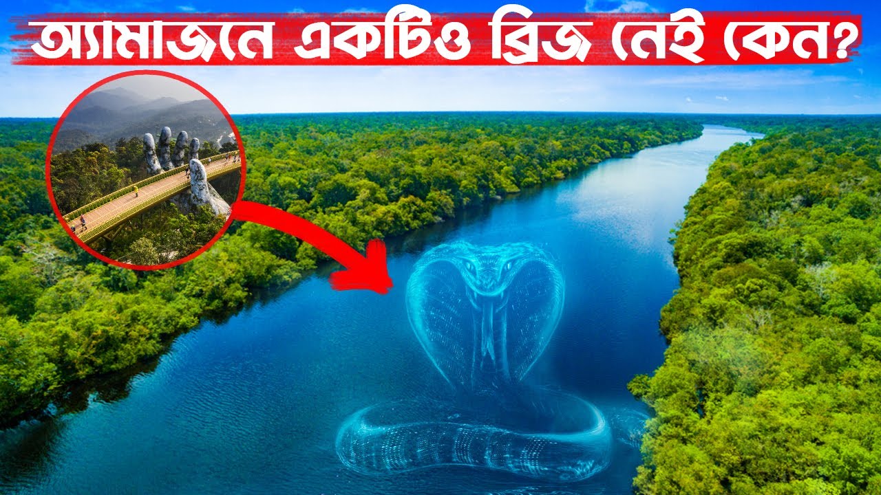 অ্যামাজন নদীর উপর কেন সেতু নেই? রহস্য ও কারণ জানুন! অ্যামাজন নদীর উপর কেন সেতু নেই? রহস্য ও কারণ জানুন!