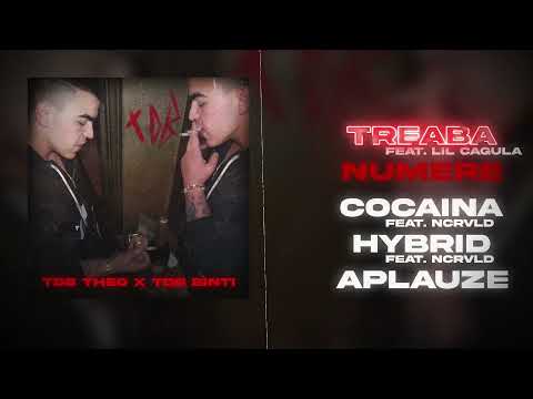 FBD Theo x TDB Binti - Treaba feat.Lil Cagula