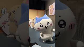 横から　ちいかわ　グリーティング　お台場ファンライジング　#ちいかわ #chiikawa