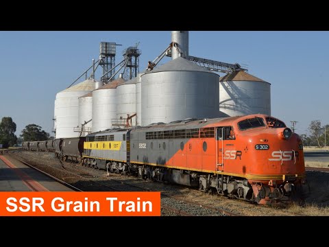 Southern Shorthaul Railroad Grain Train in Northern Victoria with S302 & S317