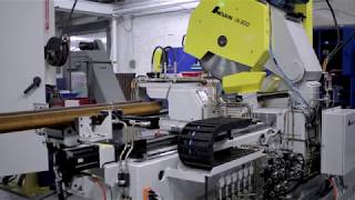 AMSAW 300: Custom Saw For Profile Cutting