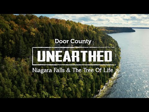 Niagara Falls and the Tree of Life