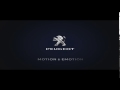 SEIZURE WARNING Of Peugeot Logo