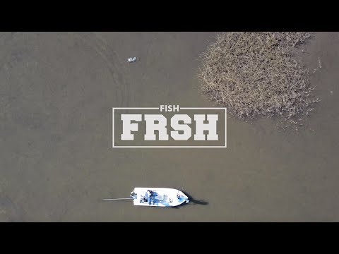 Put It In They Face (Official Music Video)