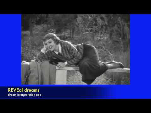 IT HAPPENED ONE NIGHT - lessons in hitchhiking