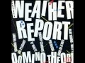 Weather Report - Domino Theory 