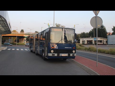 [🇵🇱PL] MZK Zielona Góra - Ikarus 280.49 #152 - [🚍7➡️DWORZEC GŁÓWNY🚂]