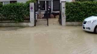 preview picture of video 'Chiaravalle Alluvione esonda il torrente Triponzio 03 05 2014'