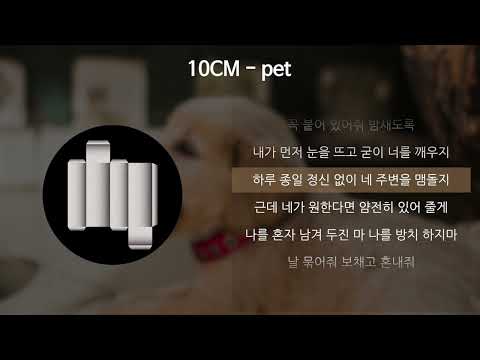 10CM - pet [가사/Lyrics]