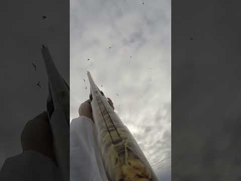 Snow Goose Flock Incoming | Wknd Warriors Co.
