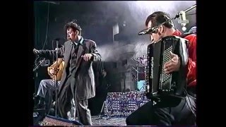 Les Négresses Vertes - Zobi La Mouche - Live 1988 - Me Sounds Good