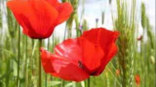 Francisco - Amapola - (Audiofoto).wmv