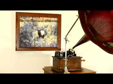 The Georgia Melodians, "Charlie, My Boy!" on Edison Blue Amberol Cylinder Record 4926