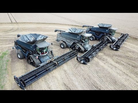 Fendt Ideal 9T with 40 Ft. Macdon FD140 Draper Headers Harvesting Wheat | BIG Harvest