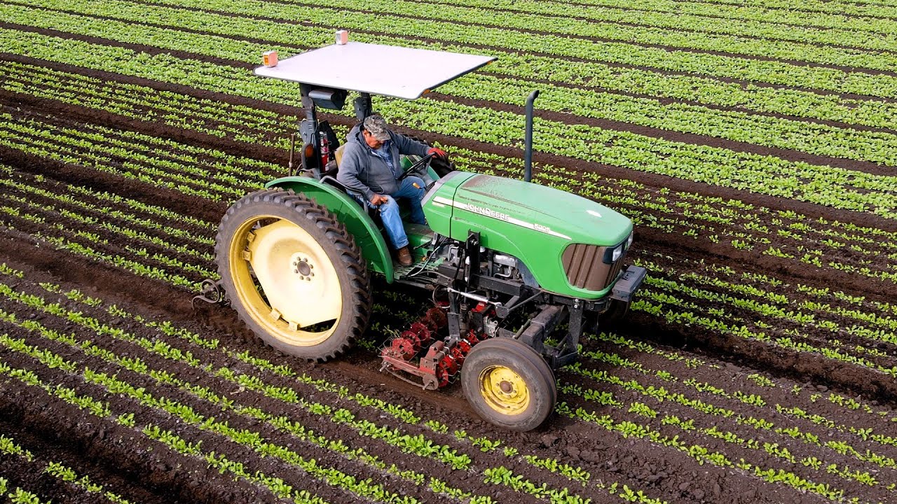 Early-Season Cultivation on a John Deere - Basket Weeding Arugula and Cilantro