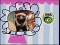 PBS Kids Next Zoboomafoo 2001