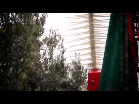 Spapperi S.r.l. - Raccolta olive MIRO DOUBLE SYSTEM / Olives Harvester MIRO DOUBLE SYSTEM B
