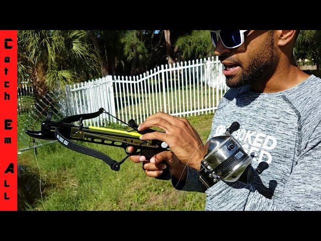 Mini-Crossbow Fishing to Feed my Pet Largemouth Bass!