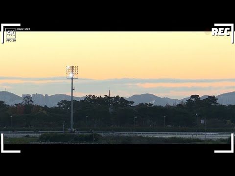 11/19-신승욱-부산-새벽조교-