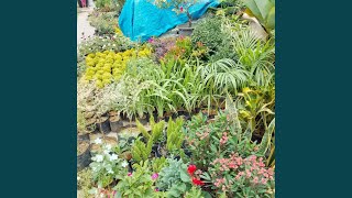 Download lagu Keluarga Harmonis Impian Kita mp3 Download lagu Keluarga Harmonis Impian Kita mp3