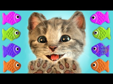 Little Kitten My Favorite Cat - Play Fun Pet Care Kids Game - Fun Games For Kids & Children