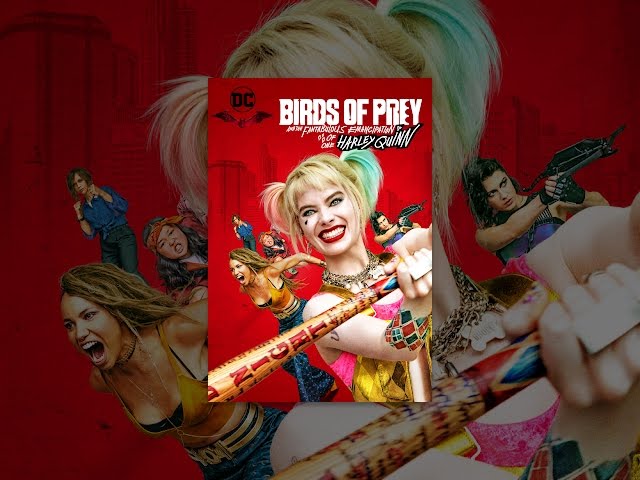 Vídeo relacionado con Funko POP! Heroes: Birds Of Prey - Harley Quinn - (Incognito) - Figuras Miniaturas Coleccionables Para Exhibición - Idea De Regalo - Mercancía Oficial - Juguetes Para Niños Y Adultos - Fans De Movies