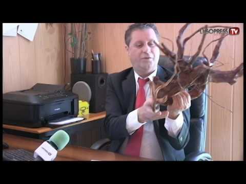 Tempo de tratamento de eczema Grama feltwort tratamento de psoríase