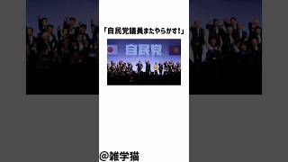 「自民党議員またやらかす！」自民党今井絵理子が文春砲で驚くべきスクープが判明した件に関する雑学#shorts #雑学 #自民党 #石破茂 #文春