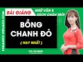 Bồng chanh đỏ Ngữ văn lớp 8 Chân trời sáng tạo