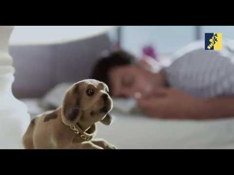 Joshua Mehta Dot Shot