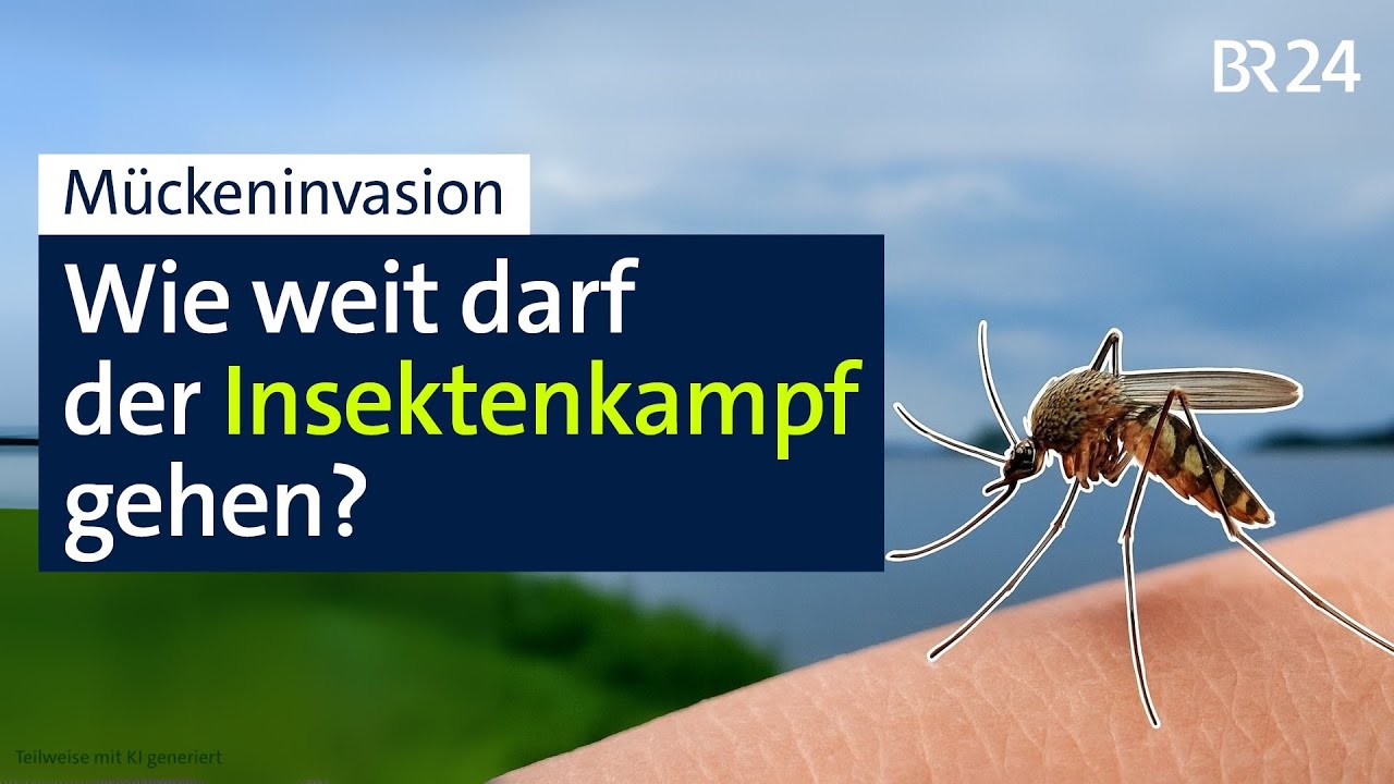 Mückeninvasion – Wie weit darf der Kampf gegen die Insekten gehen? | Die Story | Kontrovers | BR24