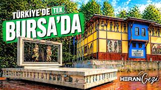 BURSA’da UNESCO Mirası! Karagöz & Hacivat Müzesi ve Anıtı