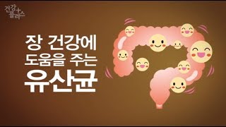 장 건강 지킴이 유산균, 바로 알기 [건강플러스] 미리보기