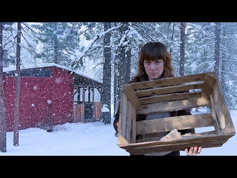 Out of Firewood | My Off Grid Winter Survival Mistake