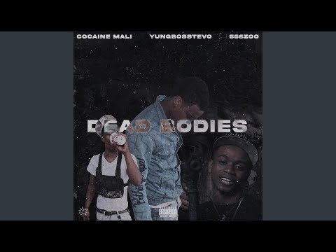 Dead Bodies (feat. YBT & 556zoo)