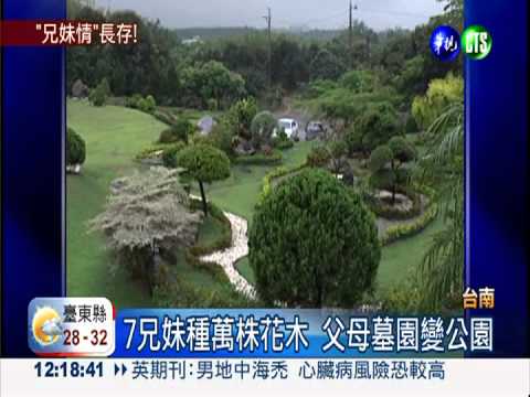 父母墓園變公園! 7兄妹齊心照料