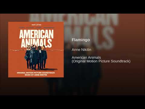 Video thumbnail for Flamingo