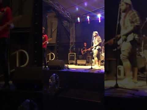 Darmozjady! KONCERT 26.07.2019, PIWNA PRZYSTAN, POLSKA