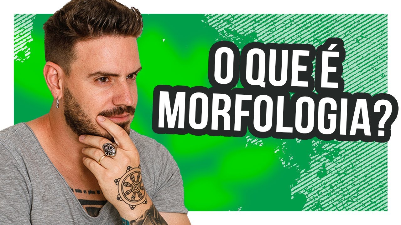 MORFOLOGIA - Pablo Jamilk