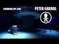 08. PETER GABRIEL * 2003 * More Than This (Video-Official DVD)