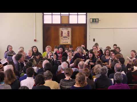 457 Wayfaring Stranger - The Ninth Ireland Sacred Harp Convention (HD)