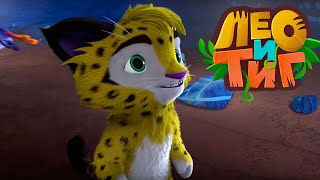 Лео и Тиг — Краски Африки — Серия 38